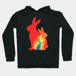 Rainbow Rabbits Hoodie